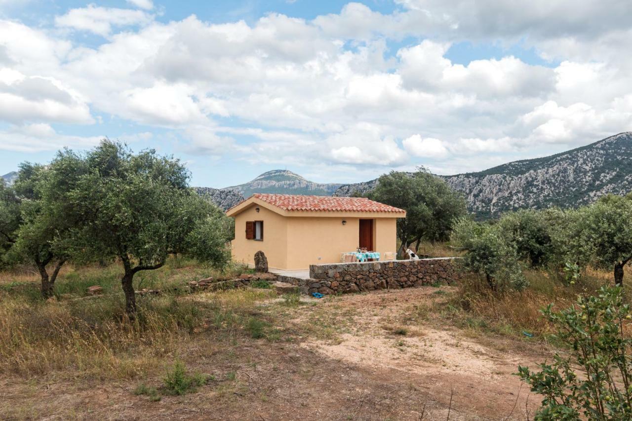 S'Ulumu Guest House Dorgali Exterior photo