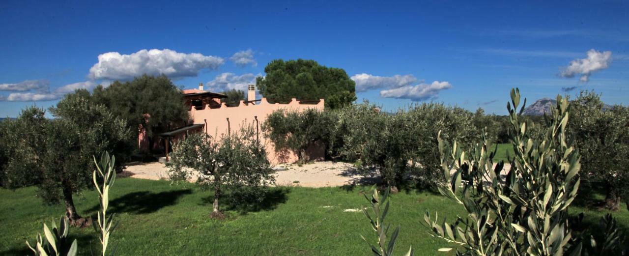 S'Ulumu Guest House Dorgali Exterior photo